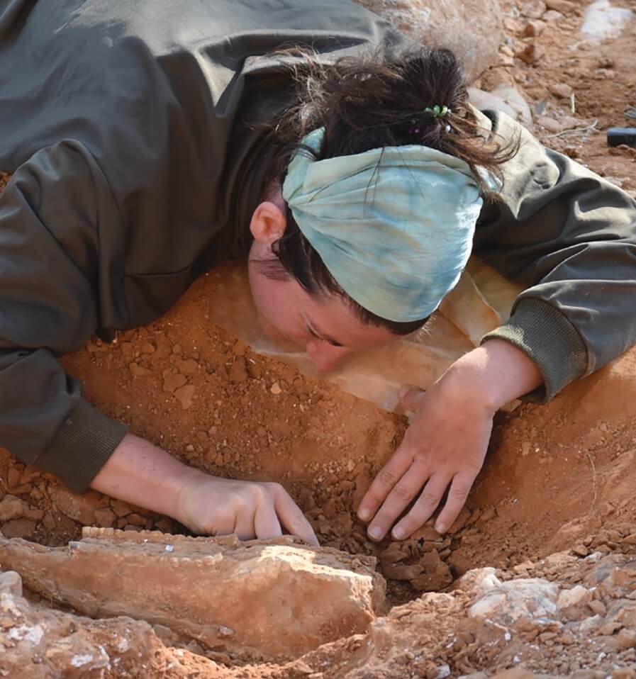 Palaeontological Research at Pikermi